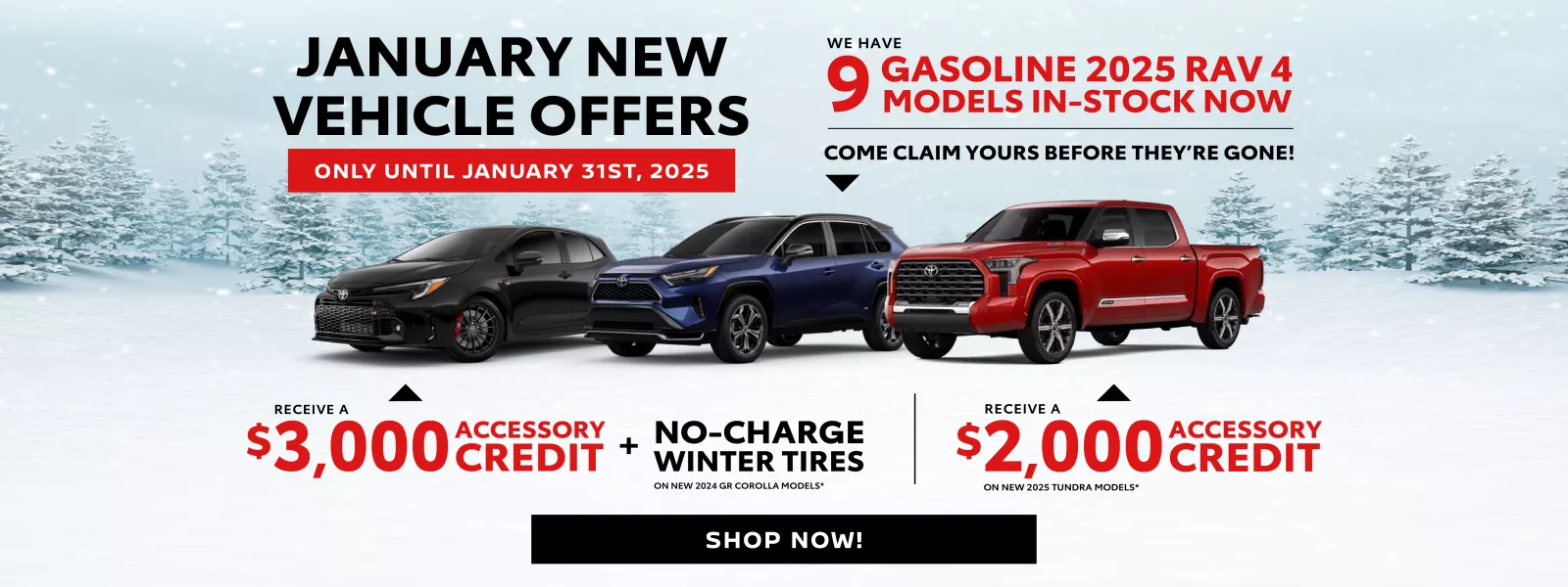 January 2025 Offers