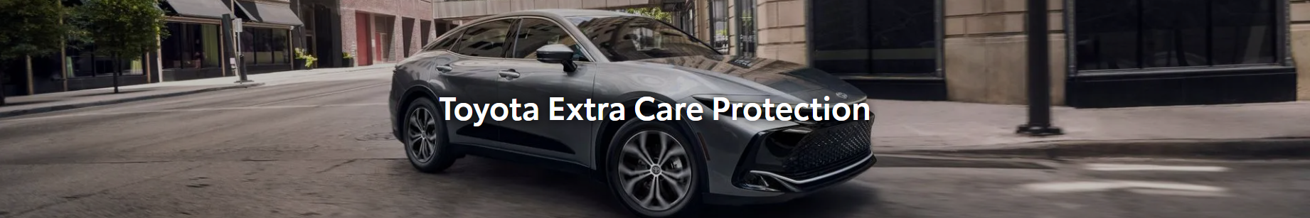 AutoData Dealer - صورة مكسورة