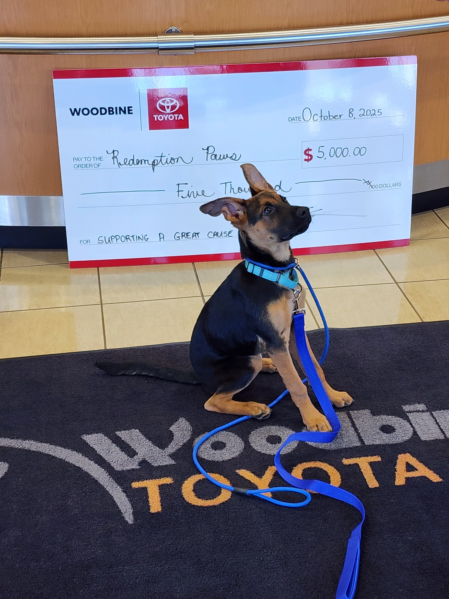 Woodbine Toyota - Broken Image